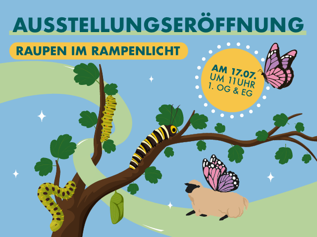 Raupen im Rampenlicht: Neue NABU-Dauerausstellung